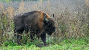 Foto: Petr Hamerník, Zoo Praha