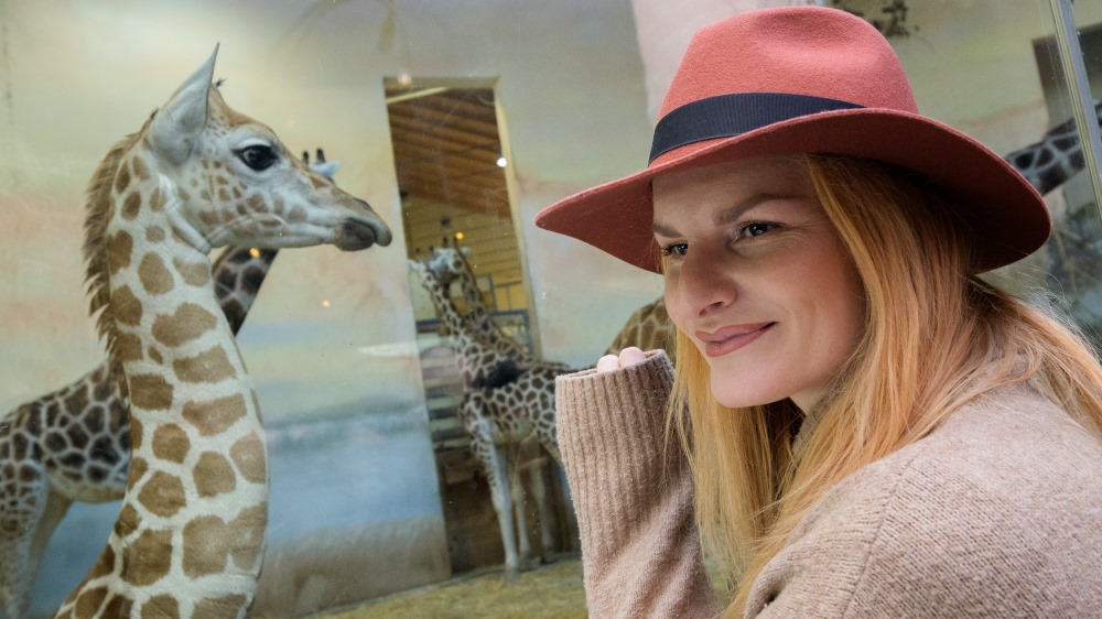 Kmotra Nely, Iva Pazderková, malé žirafě popřála šťastný život a spoustu sourozenců. Foto: Petr Hamerník, Zoo Praha.