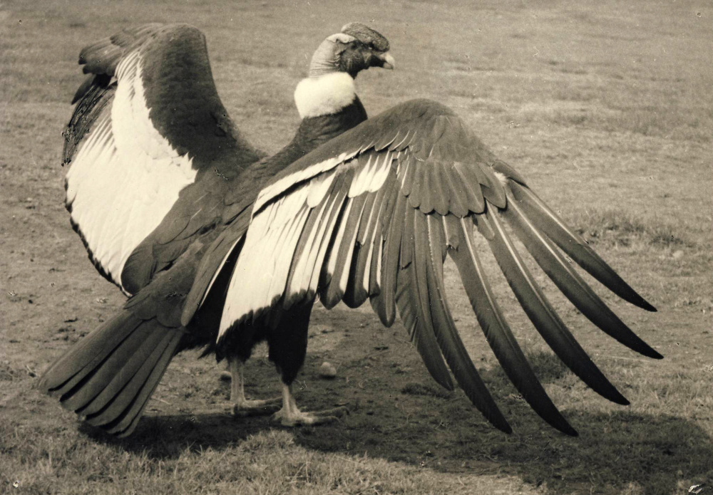 Photo: Rudolf Pucholt
