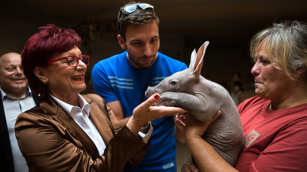 Kmotrou malé Nyoty se stala také náměstkyně primátorky prof. Ing. Eva      Kislingerová, CSc. Foto: Václav Šilha, Zoo Praha 