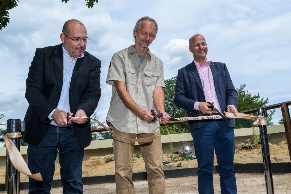 Návštěvníci Zoo Praha mohou obdivovat psouny prériové v jejich nové a větší expozici, kterou pražská zoo slavnostně otevřela ve čtvrtek odpoledne. Nachází se za výběhem bizonů v horní části zoo. Foto: Petr Hamerník, Zoo Praha.