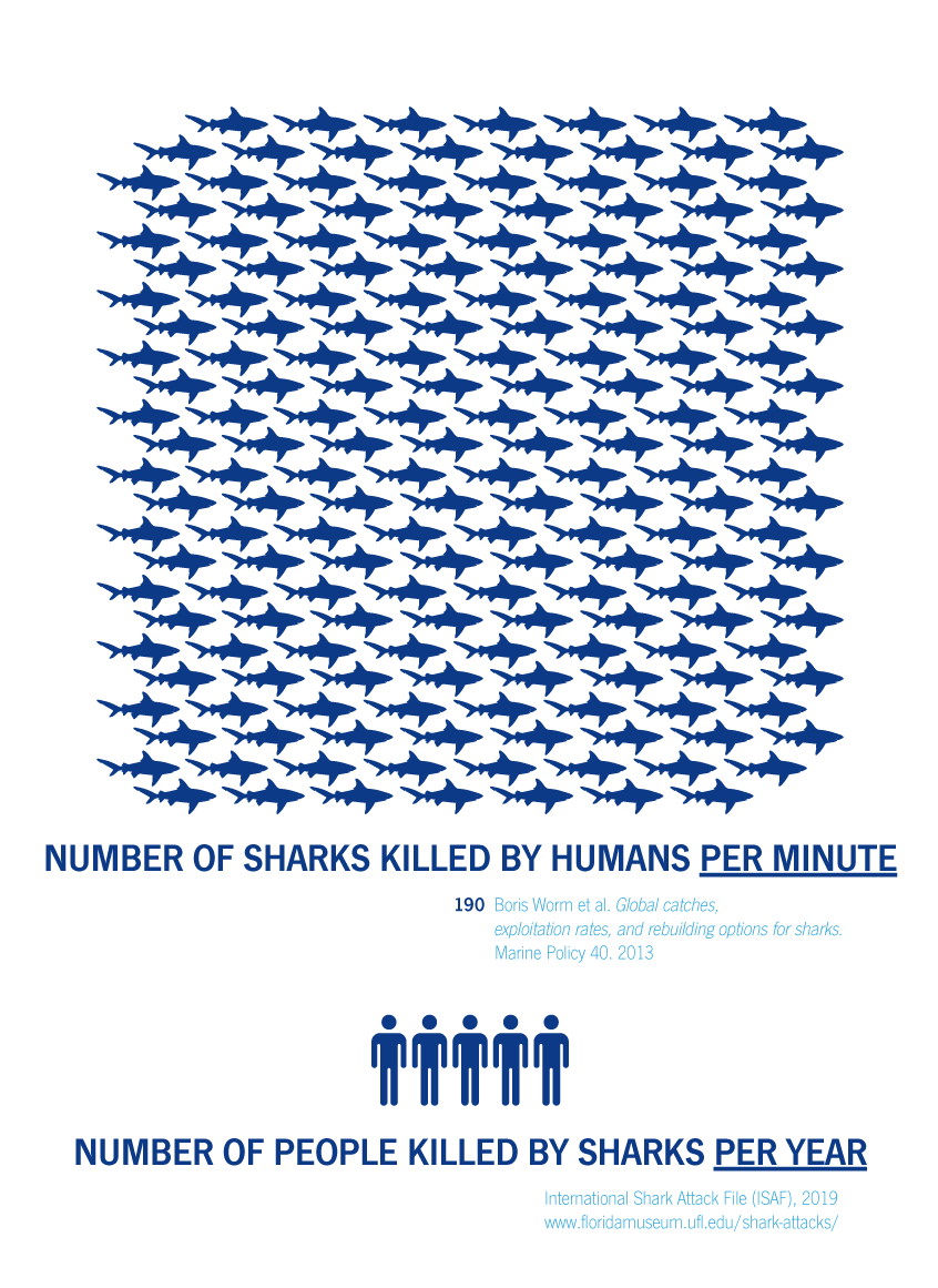 2020 082 Which Fish facebook infografika blue white EN