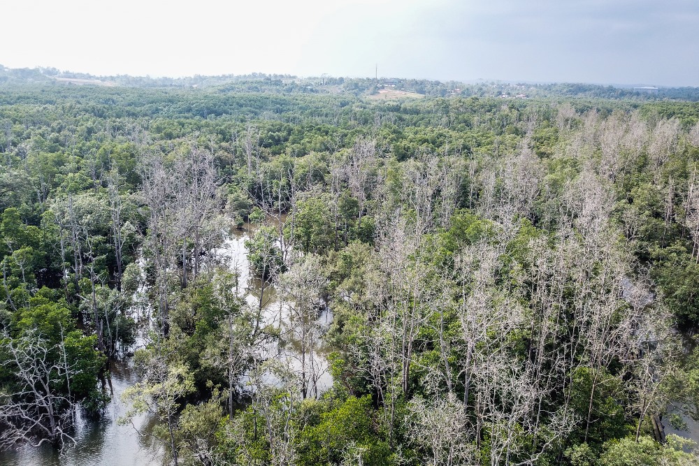 Komplexně pojatý projekt zahrnuje výzkumné aktivity, environmentální výchovu ve školách, veřejné kampaně i vyjednávání o vyhlášení Balikpapanského zálivu novou přírodní rezervací. Foto: Vít Lukáš, Zoo Praha.