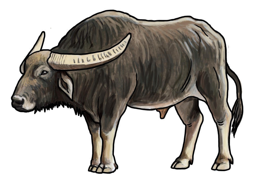 Ilustrace: Ivana Hanzlíková