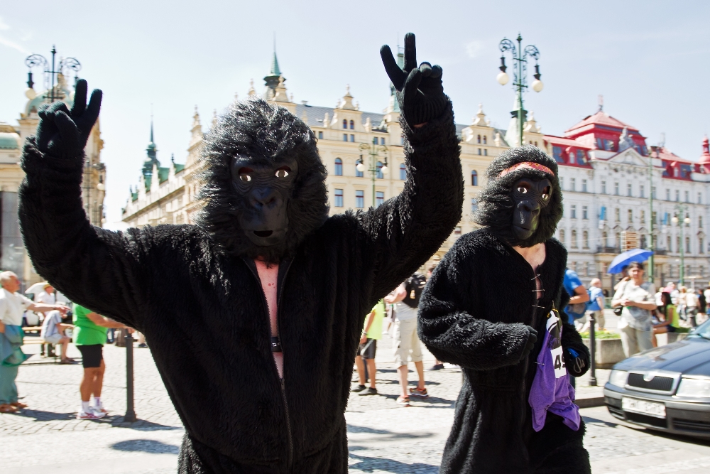 Letošní ročník odstartuje z Hradčanského náměstí, kde je zároveň i cíl závodu. Tomáš Adamec, Zoo Praha