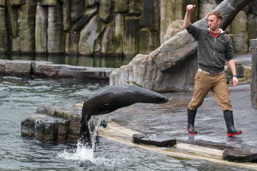 Foto: Petr Hamerník, Zoo Praha Foto: Petr Hamerník, Zoo Praha