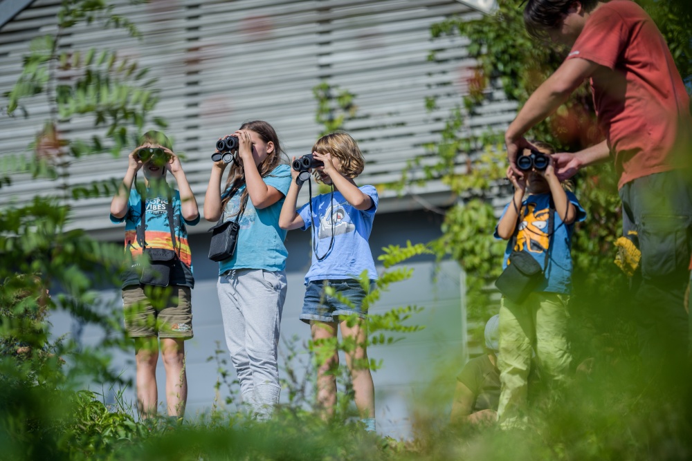 Foto: Petr Hamerník, Zoo Praha Foto: Petr Hamerník, Zoo Praha
