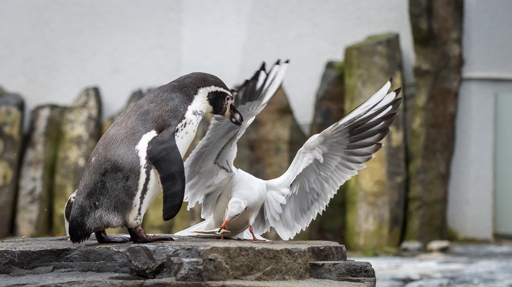 Foto: Petr Hamerník, Zoo Praha