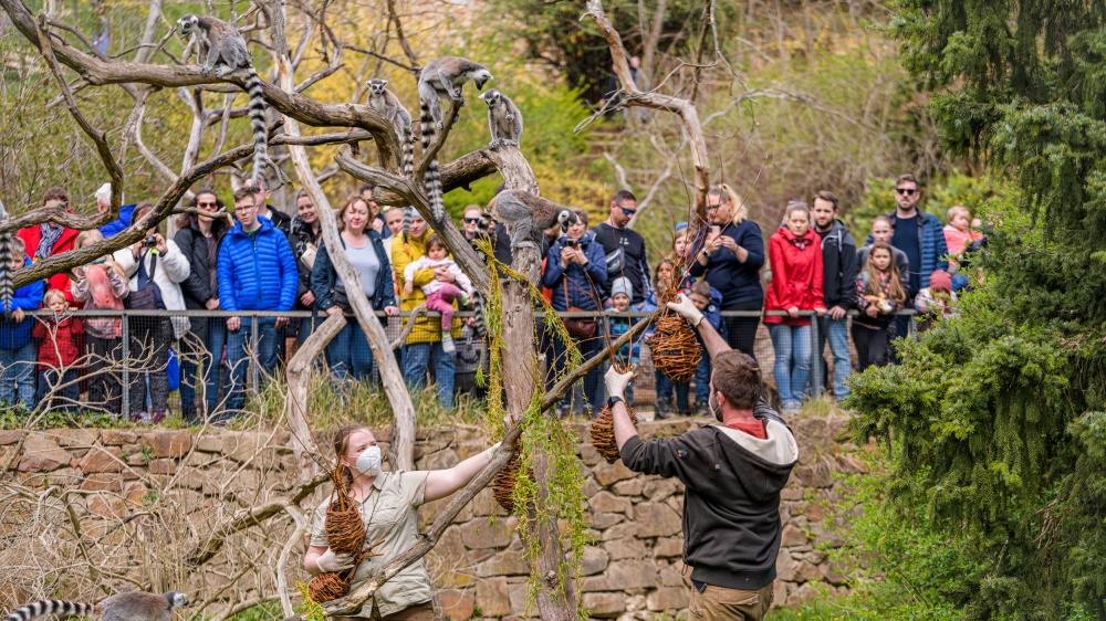 Foto: Petr Hamerník, Zoo Praha