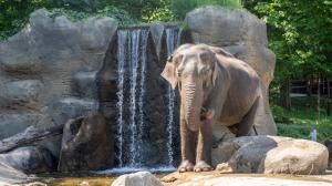 Foto: Oliver Le Que, Zoo Praha 