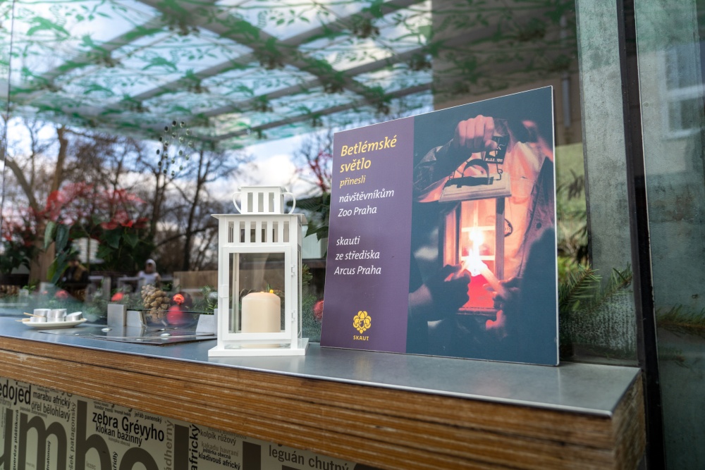 Zoo Praha je jedním z míst v České republice, odkud si můžete odnést plamen Betlémského světla. Foto: Petr Hamerník, Zoo Praha