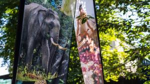 Foto: Oliver Le Que, Zoo Praha 