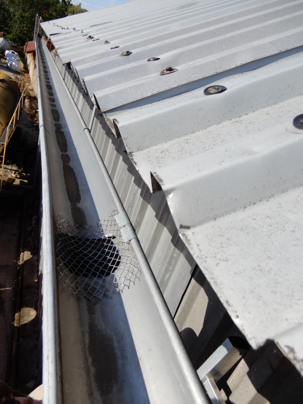 Okapové roury mohou být pro ptáky nebezpečné, řešení je však poměrně snadné: zakrýt vstupní otvor mřížkou. Foto: Miroslav Bažant, ČSO Okapové roury mohou být pro ptáky nebezpečné, řešení je však poměrně snadné: zakrýt vstupní otvor mřížkou. Foto: Miroslav Bažant, ČSO