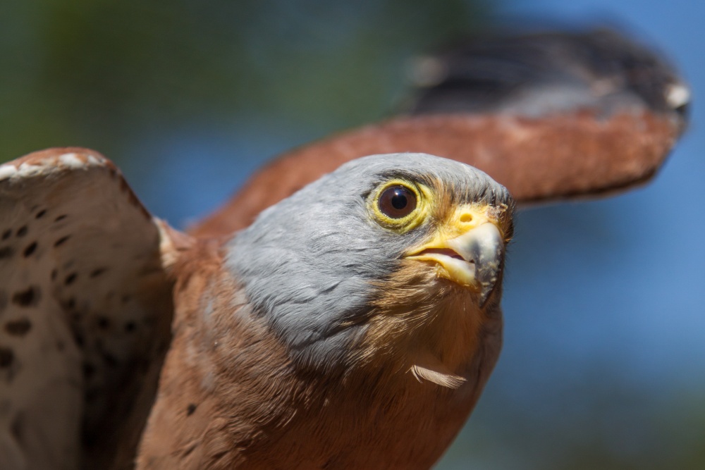 Foto: Tereza Mrhálková, Zoo Praha