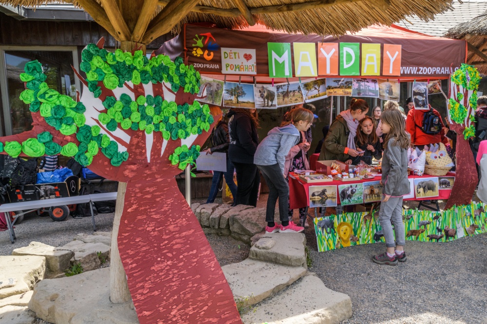 Akce MayDay také navazuje na principy projektu Roots & Shoots slavné ochránkyně přírody Jane Goodall. Program vede mladé lidi k aktivnímu a každodennímu zapojení do ochrany přírody. Foto Petr Hamerník, Zoo Praha