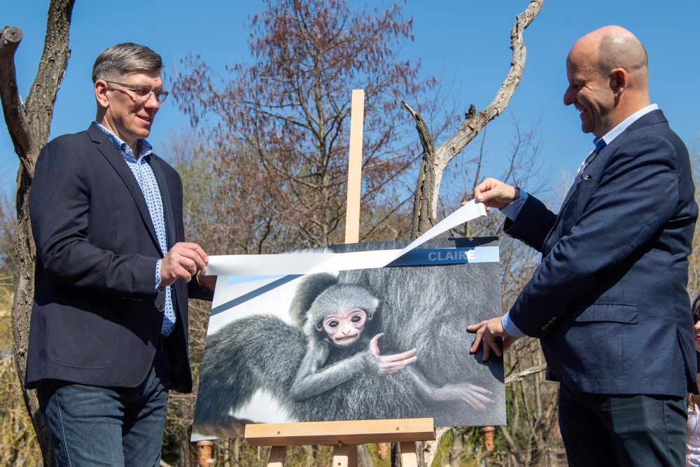 The four-month-old male silvery gibbon was named Claire. Its christening was attended by Patrik Fejtek, Director of Volkswagen Passenger Car Division, and Petr Hlubuček, Deputy Mayor of Prague. Photo Khalil Baalbaki, Prague Zoo