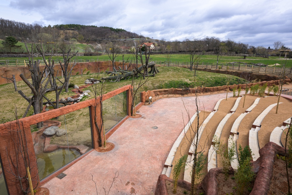 Venku je pro návštěvníky vybudováno hlediště, ze kterého budou moci pozorovat rodinnou skupinu goril nížinných. Foto Petr Hamerník, Zoo Praha