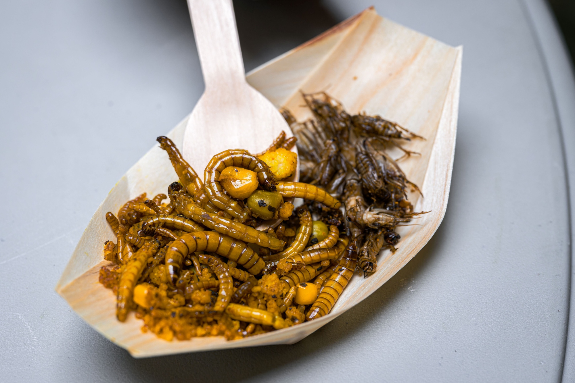 Netradiční gastronomické zážitky čekají návštěvníky od 10.00 do 16.00 u Vzdělávacího centra v blízkosti hlavního vchodu Zoo Praha. Foto Petr Hamerník, Zoo Praha Netradiční gastronomické zážitky čekají návštěvníky od 10.00 do 16.00 u Vzdělávacího centra v blízkosti hlavního vchodu Zoo Praha. Foto Petr Hamerník, Zoo Praha