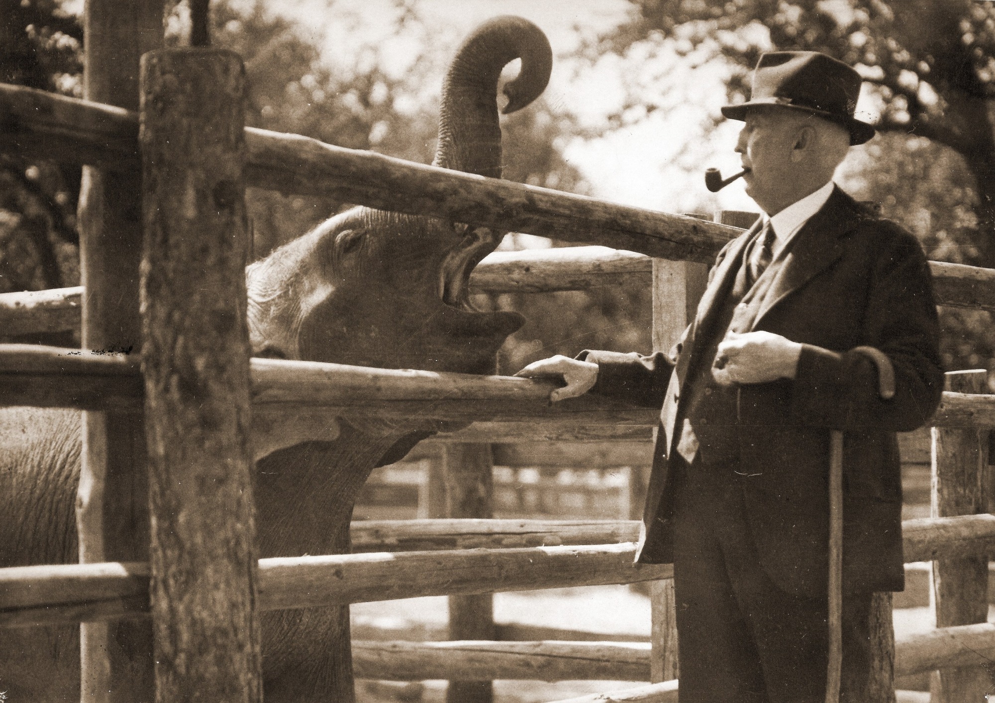 The zoo’s founder, Professor Janda, and the legendary Baby the elephant. Photo: Prague Zoo archive