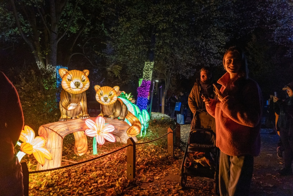 Světelná zoo je určena především pro malé návštěvníky, avšak tisíce světel a podmanivá atmosféra dokážou vykouzlit úsměv na tváři všem. Foto Oliver Le Que, Zoo Praha Světelná zoo je určena především pro malé návštěvníky, avšak tisíce světel a podmanivá atmosféra dokážou vykouzlit úsměv na tváři všem. Foto Oliver Le Que, Zoo Praha