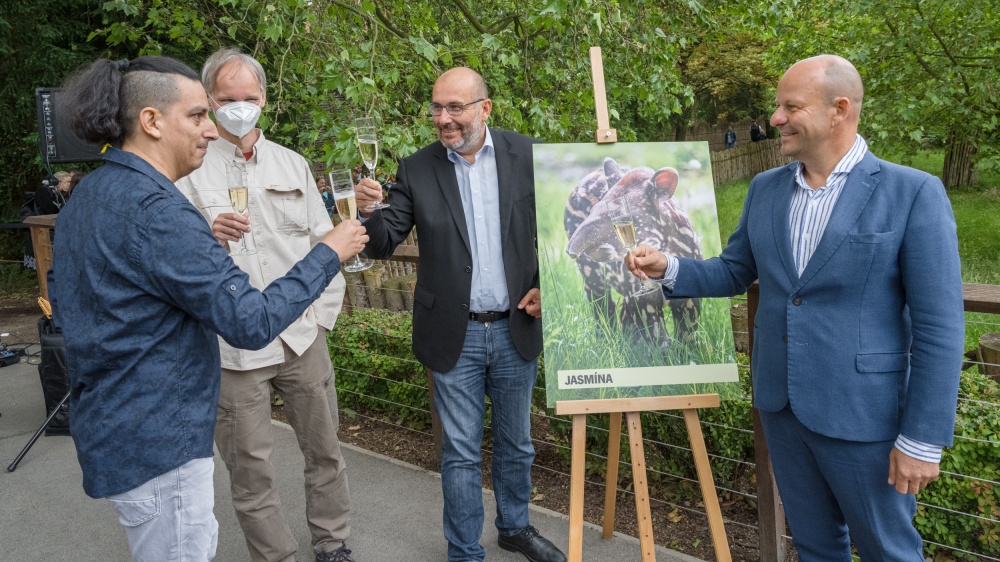 Na Jasmínino zdraví si připil peruánský hráč na andské flétny Vlado Ulrich společně s kurátorem savců Pavlem Brandlem, ředitelem Zoo Praha Miroslavem Bobkem a náměstkem primátora hlavního města Prahy Petrem Hlubučkem. Autor Petr Hamerník, Zoo Praha. 