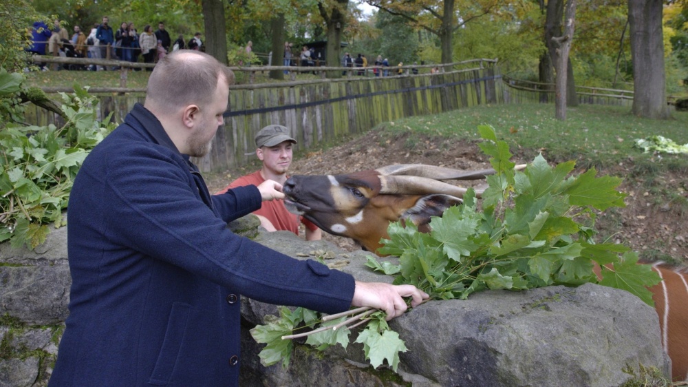 Kmotrem mláďat se stal youtuber Stejk, který jim popřál dlouhý a šťastný život. Foto Václav Šilha, Zoo Praha