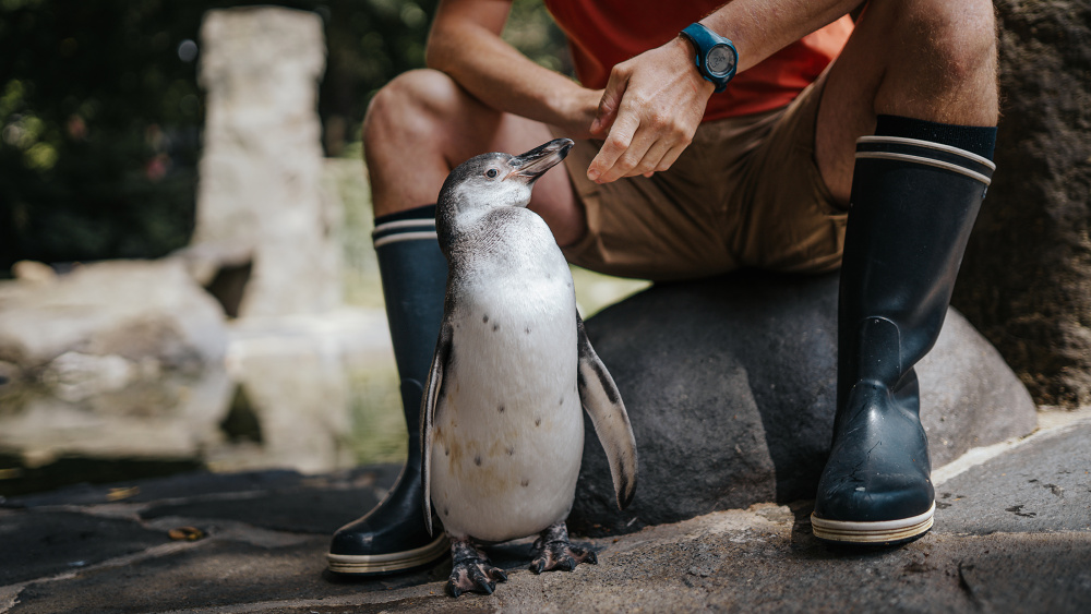 Foto Tereza Šolcová, Zoo Praha