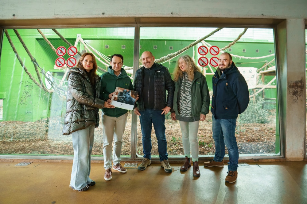 Skupina gratulantů u expozice goril nížinných v Zooparku Cabárceno spolu s fotoknihou o životě Duni v Praze, kterou zástupci Zoo Praha předali svým španělským kolegům. Zleva: Inés Mier Maza, generální ředitelka společnosti CANTUR, pod kterou spadá i zoologická zahrada v Cabárcenu, dále ředitel zmíněné zoo Parque de La Naturaleza de Cabárceno Míchel Valdés Ruiz, uprostřed ředitel Zoo Praha Miroslav Bobek, dále tamní vrchní zooložka Beatriz Gallego Aldama a vrchní chovatel primátů Zoo Praha Martin Vojáček. Foto David Broda, Zoo Praha