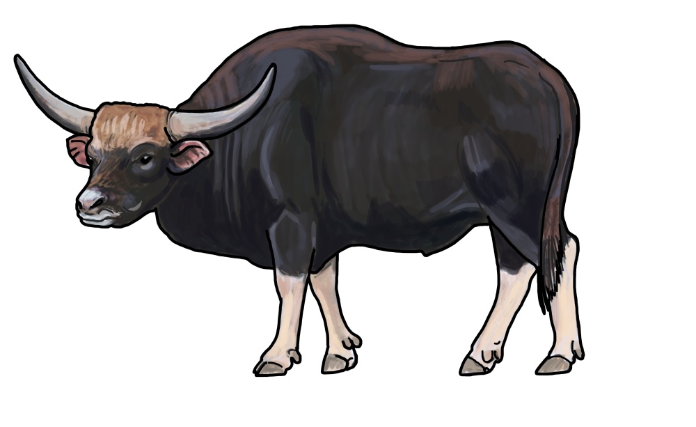 Ilustrace: Ivana Hanzlíková