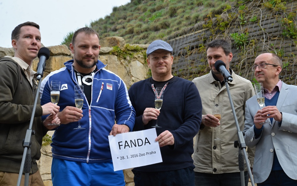 Malý hroch dostal od svého kmotra Davida Novotného jméno Fanda a vše nejlepší mu přišli popřát také český reprezentant ve vzpírání Jiří Orság, náměstek Zoo Praha Jiří Malina, Karel Vančura – ředitel firmy IPODEC, která je dlouholetým sponzorem chovu hrochů v pražské zoo a Ondřej Kotek ze Zoo Praha. Foto: Jana Myslivečková, Zoo Praha.