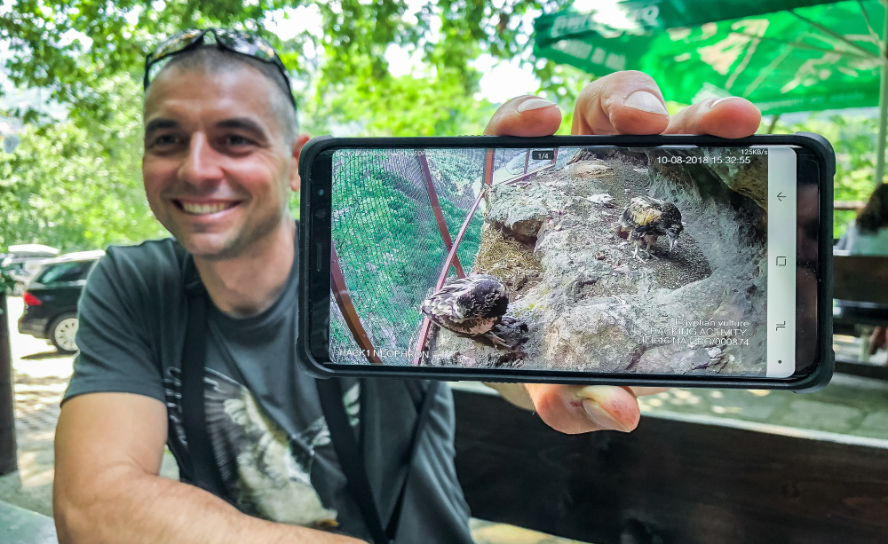 Ivajlo Klisurov z organizace Green Balkans ukazuje, že supy v umělém hnízdě mohou ochránci sledovat v přímém přenosu, třeba i na mobilu. Foto: Miroslav Bobek, Zoo Praha 