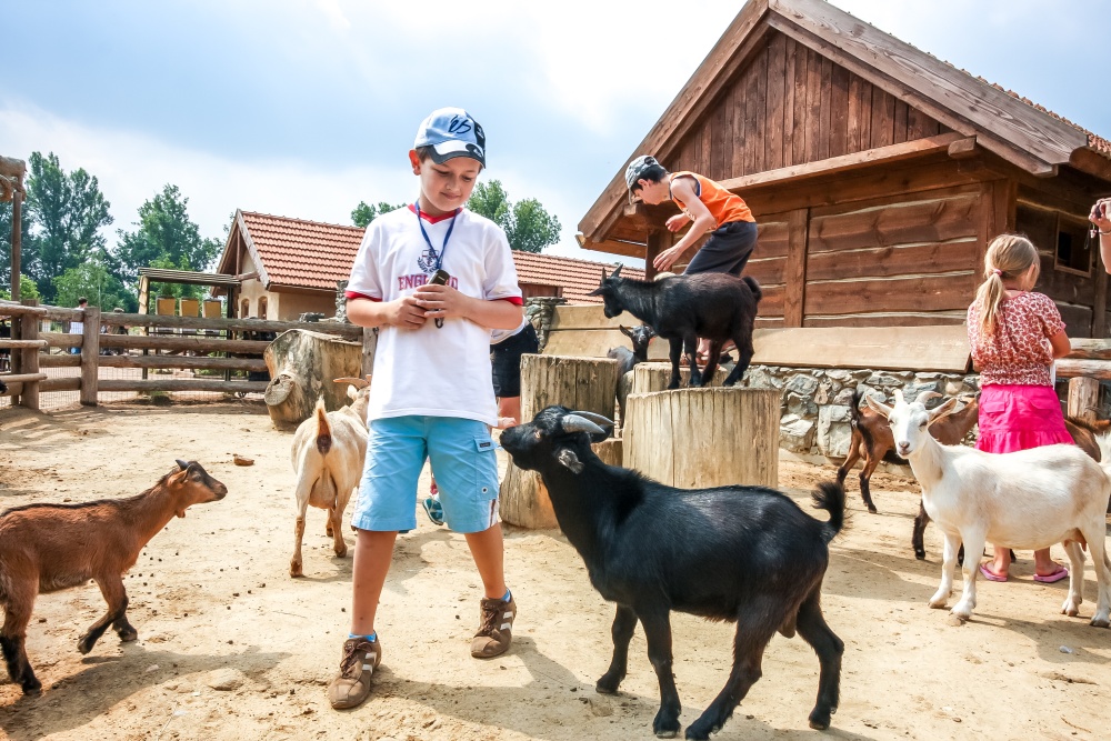 Foto: Romana Anděrová, Zoo Praha