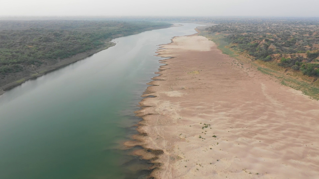 Řeka Čambal má v Indii status národní přírodní rezervace. Foto: Gharial Ecology Project