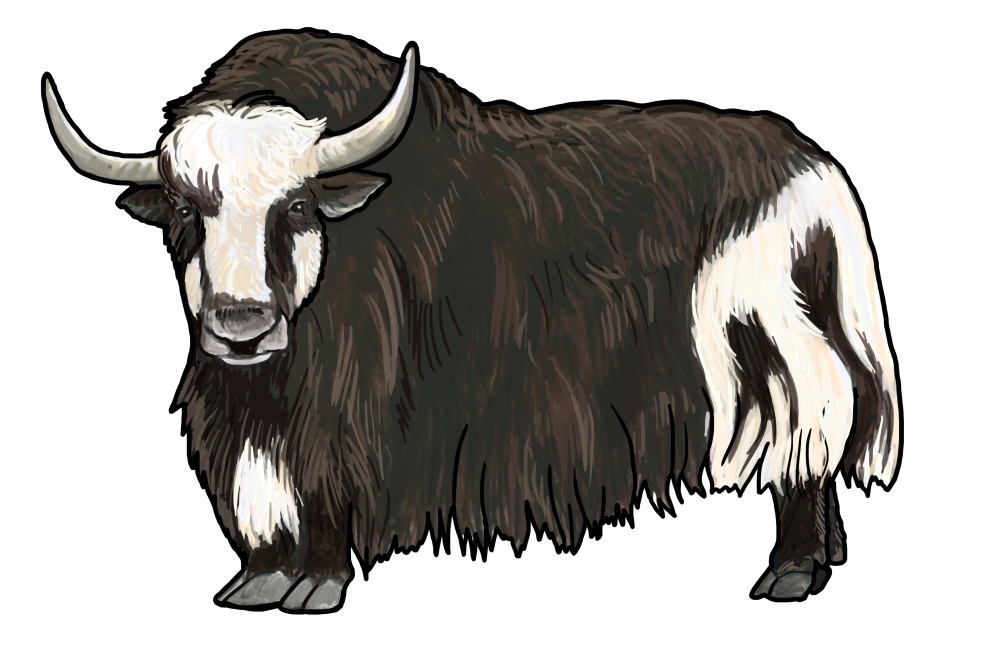 Ilustrace: Ivana Hanzlíková