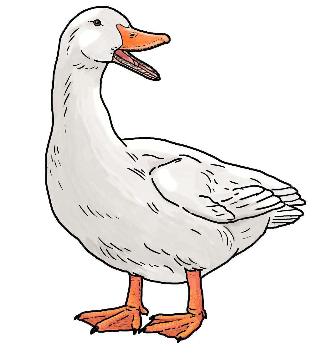 Ilustrace: Ivana Hanzlíková Ilustrace: Ivana Hanzlíková