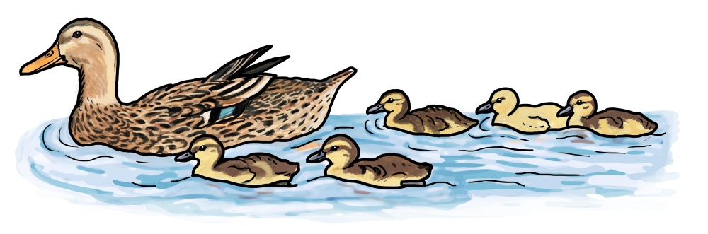 Ilustrace: Ivana Hanzlíková Ilustrace: Ivana Hanzlíková