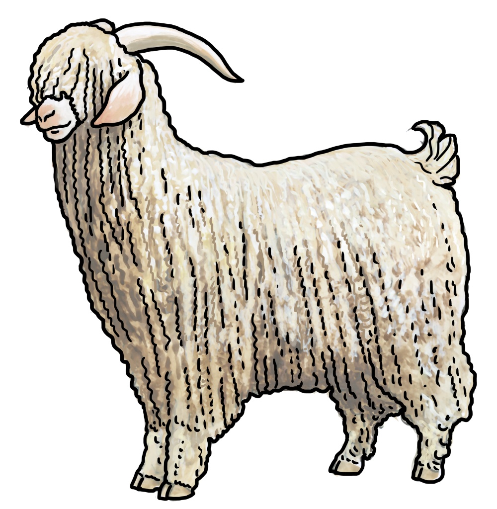 Illustration: Ivana Hanzlíková