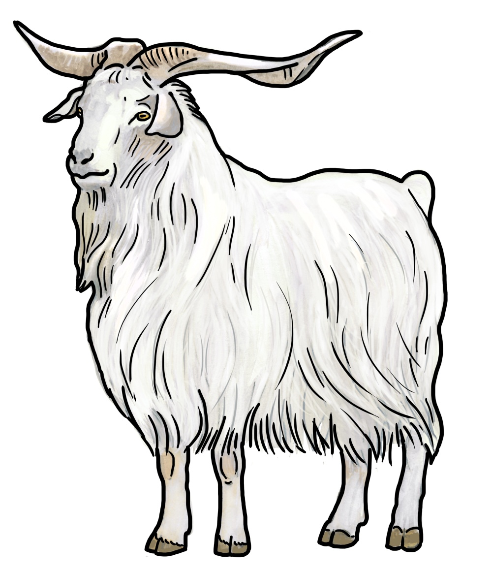 Illustration: Ivana Hanzlíková