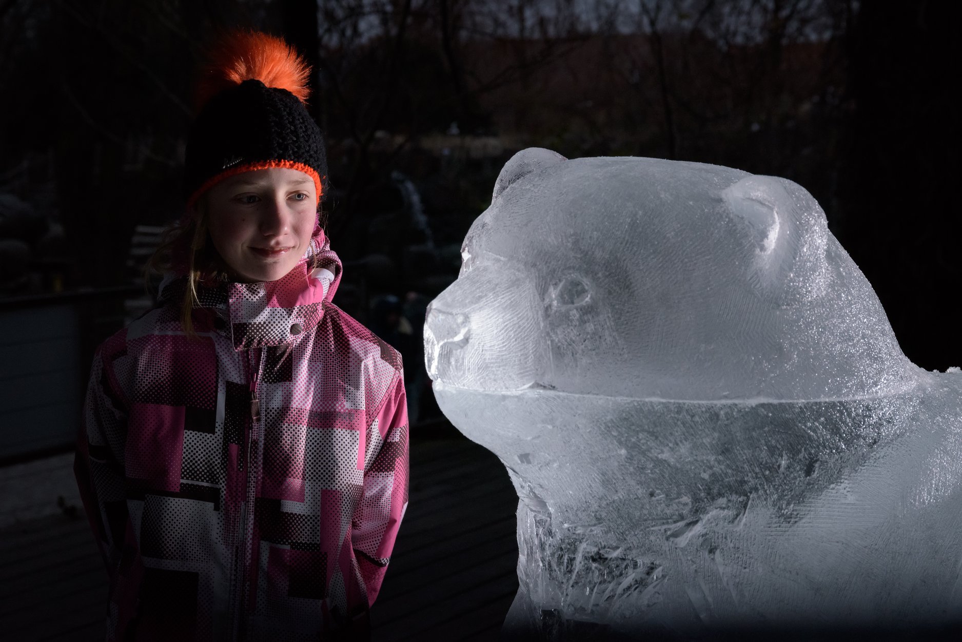 Mládě ledního medvěda z ledu je k vidění u Vzdělávacího centra. Foto: Petr Hamerník, Zoo Praha