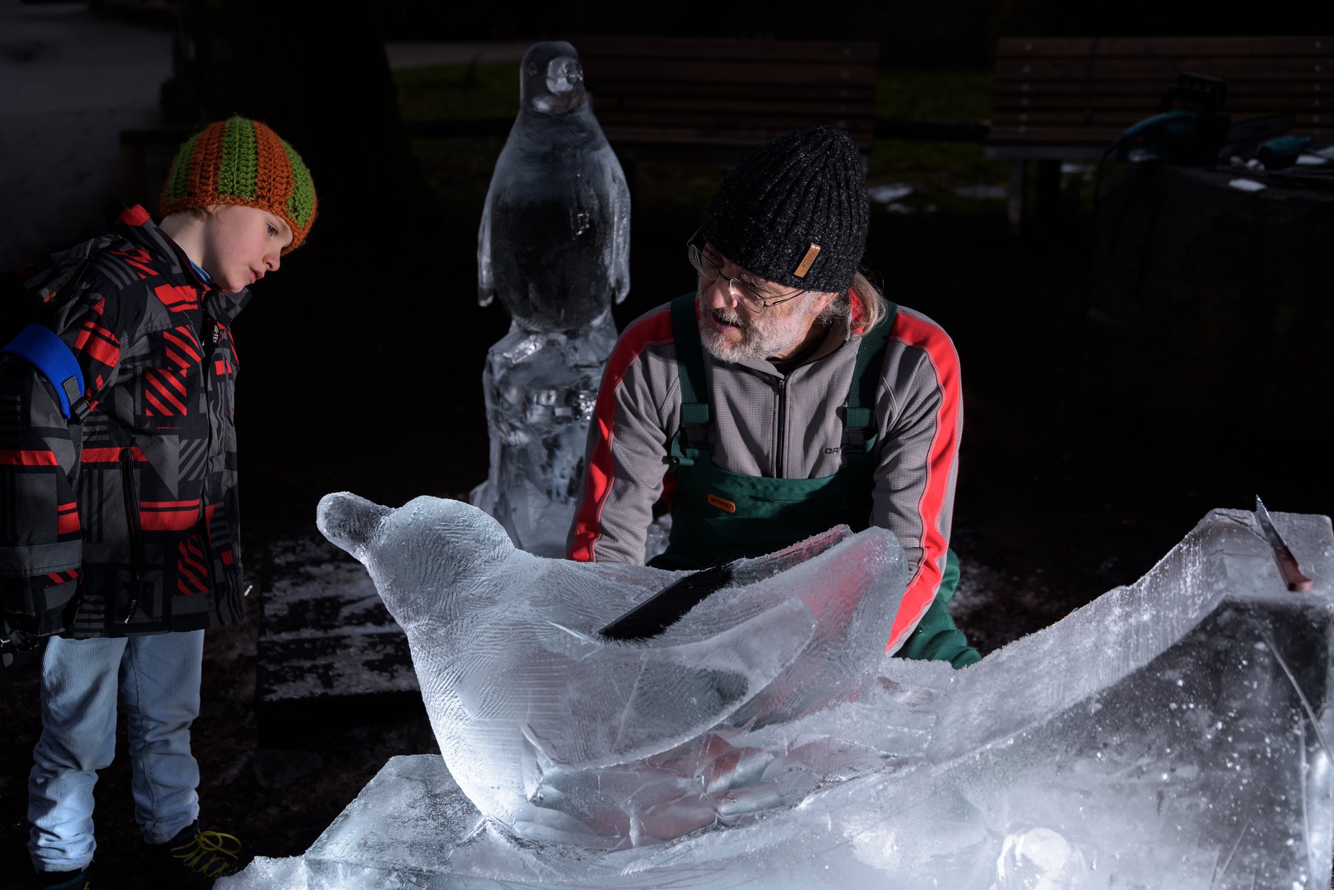 V sobotu 20. ledna byly u přímo před zraky návštěvníků vytvořeny ledové sochy dvou tučňáků v životní velikosti, a to přímo u jejich expozice. Foto: Petr Hamerník, Zoo Praha