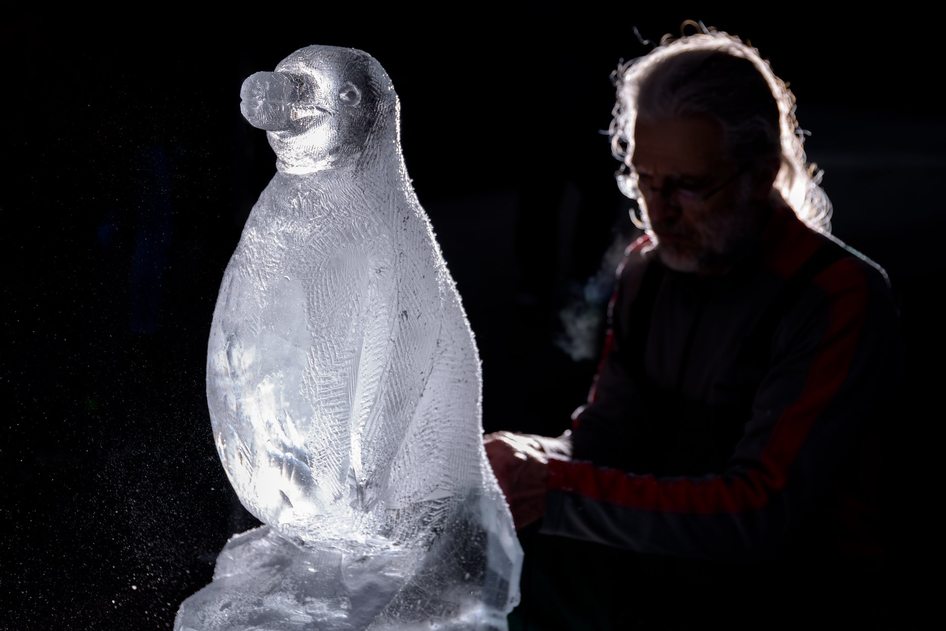 Tučňáky z ledu můžete nyní spatřit u Vzdělávacího centra. Foto: Petr Hamerník, Zoo Praha