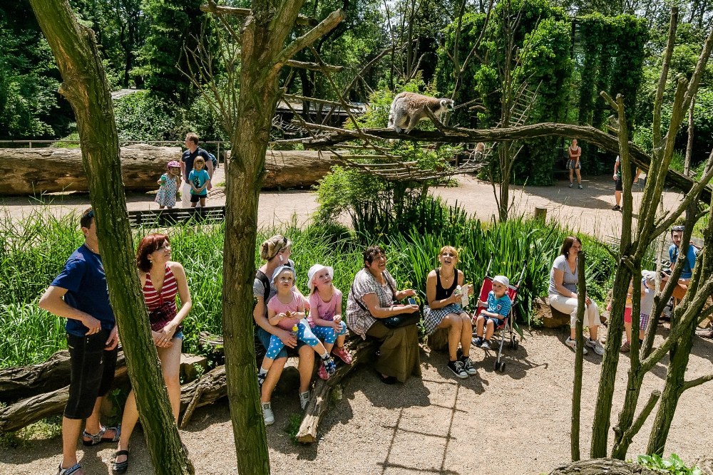 Expozice lemurů, foto: Petr Hamerník, Zoo Praha