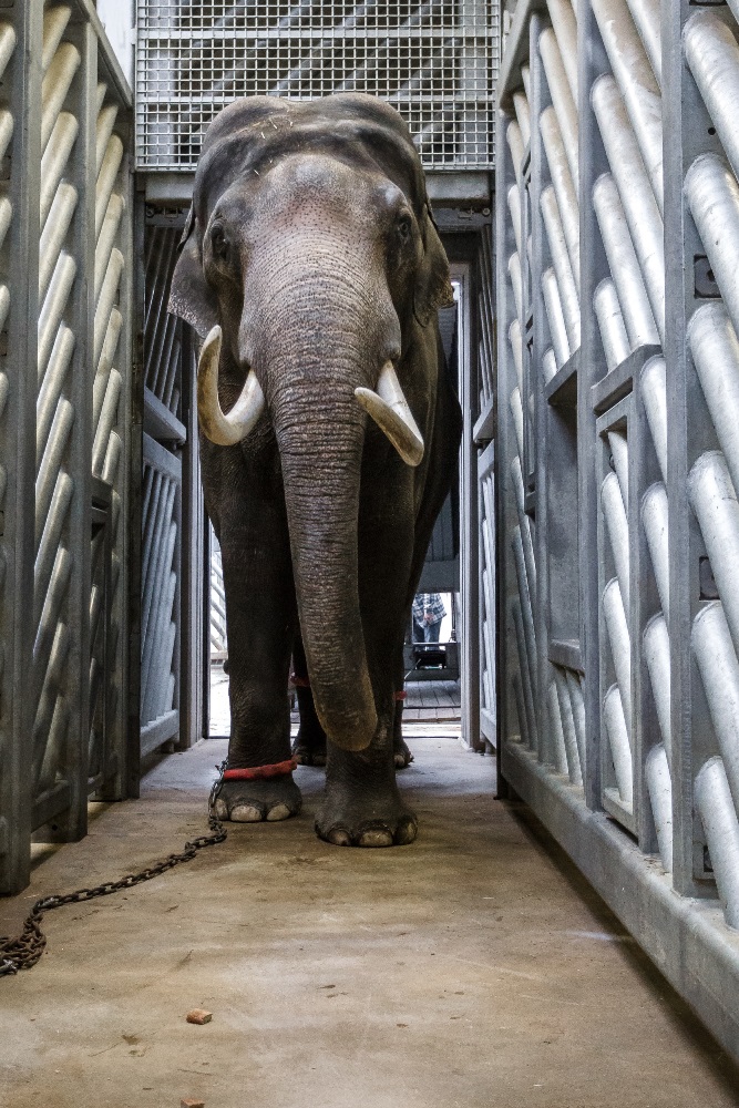 Foto: Petr Hamerník, Zoo Praha