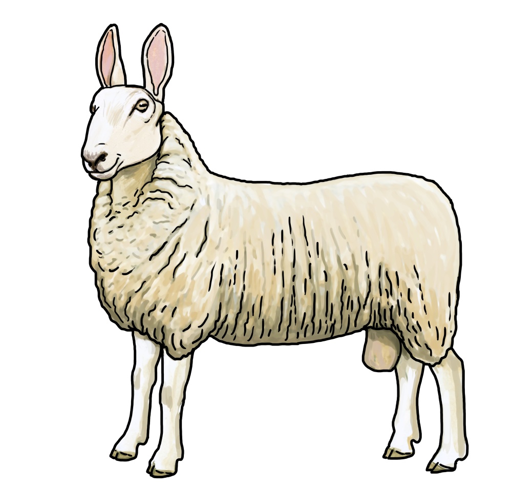 Ilustrace: Ivana Hanzlíková