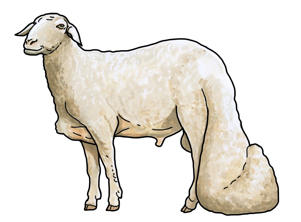 Ilustrace: Ivana Hanzlíková