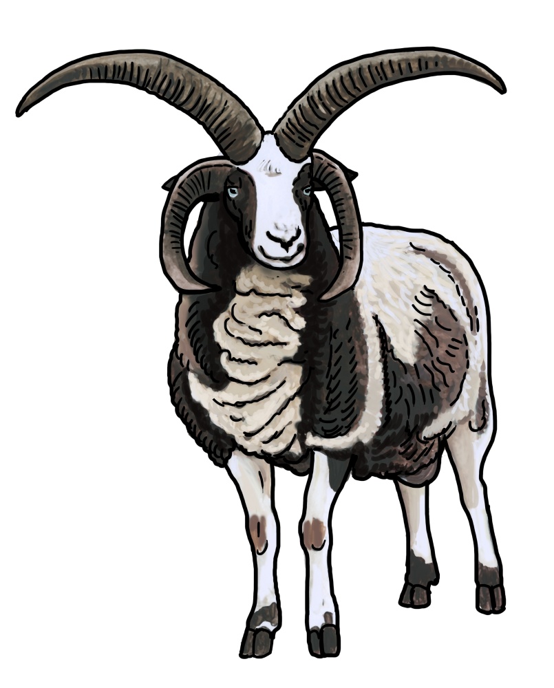 Ilustrace: Ivana Hanzlíková