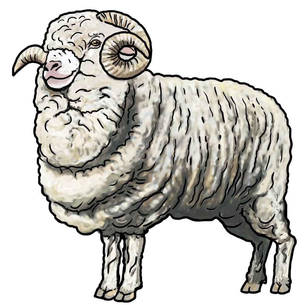 Illustration: Ivana Hanzlíková