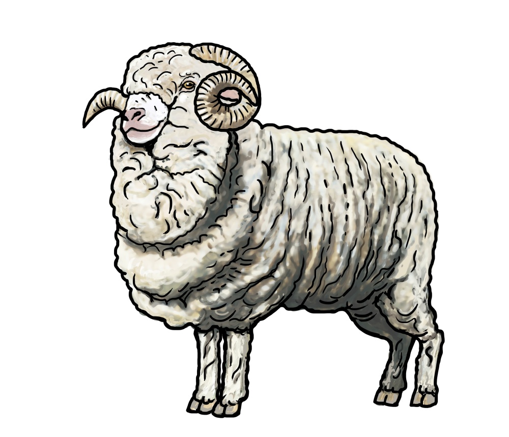 Ilustrace: Ivana Hanzlíková