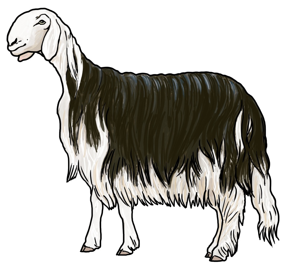 Ilustrace: Ivana Hanzlíková