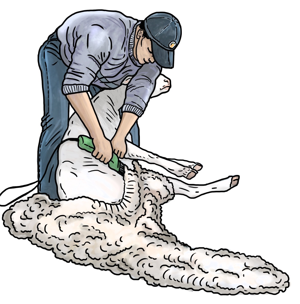 Illustration: Ivana Hanzlíková